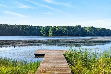 Discover the beauty of waterfront living on Lake Pinkston in - photo 26