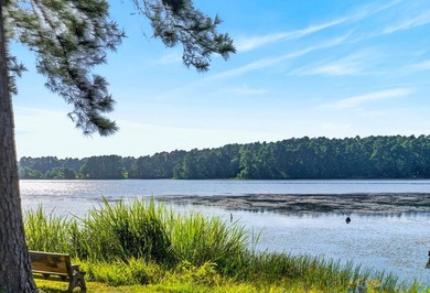 Discover the beauty of waterfront living on Lake Pinkston in - photo 27
