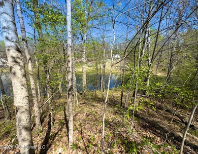 0.55 acre waterfront lot located in Hernando, surrounded by - photo 4