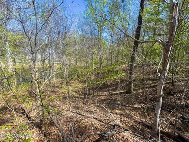 0.55 acre waterfront lot located in Hernando, surrounded by - photo 5