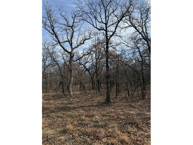 Miller Ct - photo 6