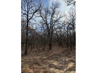 Miller Ct - photo 7