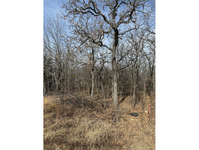 Miller Ct - photo 10