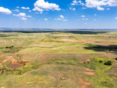 (private lake, pond, creek) Acreage For Sale in Frederick Oklahoma