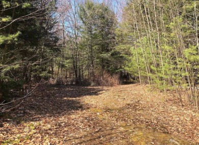 Trout Lake - Warren County Lot For Sale in Bolton Landing New York