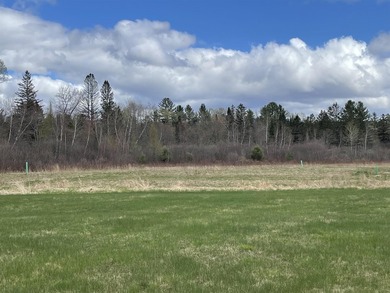 Ready to build a Coventry Log Cabin on 21+ acres of land with - photo 11