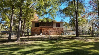 Toledo Bend Lake Waterfront located at the mouth of Lanan Bay - photo 11