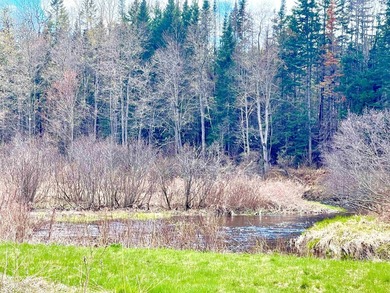 Ready to build a Coventry Log Cabin on 21+ acres of land with - photo 13