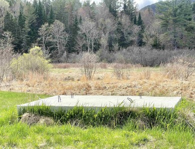 Ready to build a Coventry Log Cabin on 21+ acres of land with - photo 14