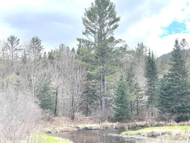 Ready to build a Coventry Log Cabin on 21+ acres of land with - photo 15