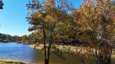 Toledo Bend Lake Waterfront located at the mouth of Lanan Bay - photo 15