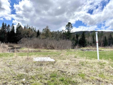 Ready to build a Coventry Log Cabin on 21+ acres of land with - photo 16
