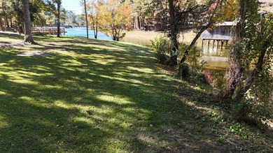 Toledo Bend Lake Waterfront located at the mouth of Lanan Bay - photo 17