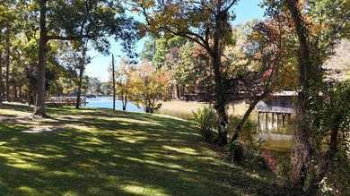 Toledo Bend Lake Waterfront located at the mouth of Lanan Bay - photo 18