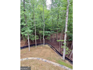 **NEW CONSTRUCTION RANCH PLAN by TIH Homes on a full unfinished - photo 21
