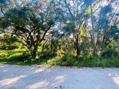 Lake Josephine Lot For Sale in Sebring Florida