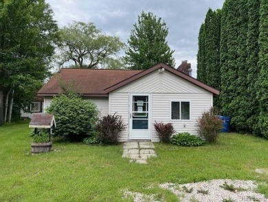 Wixom Lake Home Sale Pending in Beaverton Michigan
