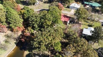 Toledo Bend Lake Waterfront located at the mouth of Lanan Bay - photo 24