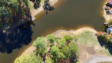 Toledo Bend Lake Waterfront located at the mouth of Lanan Bay - photo 25