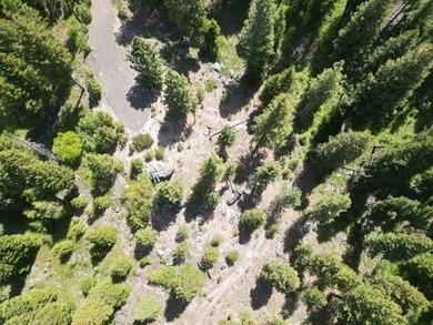 Escape to the mountains with this stunning 4.08-acre property in - photo 6