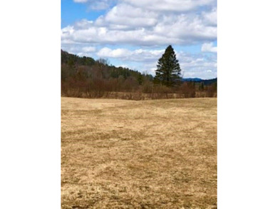 Ready to build a Coventry Log Cabin on 21+ acres of land with - photo 27