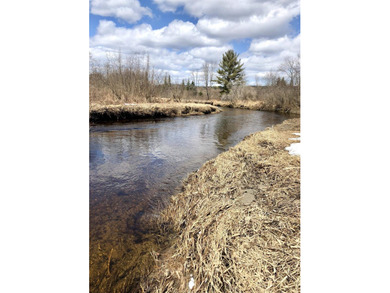 Ready to build a Coventry Log Cabin on 21+ acres of land with - photo 28
