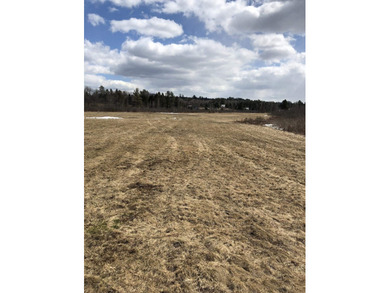 Ready to build a Coventry Log Cabin on 21+ acres of land with - photo 29