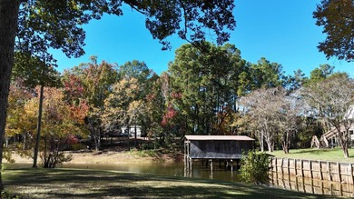 Toledo Bend Lake Waterfront located at the mouth of Lanan Bay - photo 29