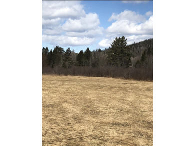 Ready to build a Coventry Log Cabin on 21+ acres of land with - photo 30