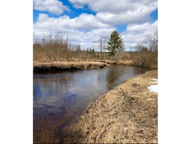 Ready to build a Coventry Log Cabin on 21+ acres of land with - photo 32