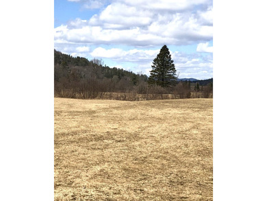 Ready to build a Coventry Log Cabin on 21+ acres of land with - photo 34
