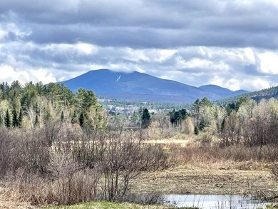 Ready to build a Coventry Log Cabin on 21+ acres of land with - photo 36