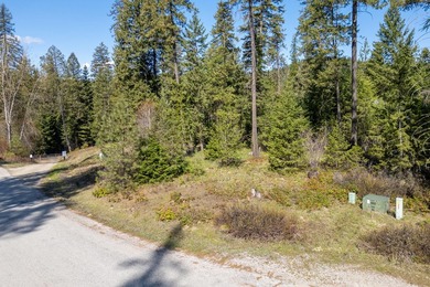 This golf course lot offers an excellent opportunity for - photo 3