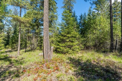 This golf course lot offers an excellent opportunity for - photo 4