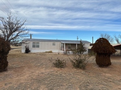 Lake Home For Sale in Logan, New Mexico