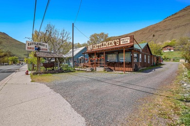 Salmon River - Idaho County Commercial For Sale in Riggins Idaho