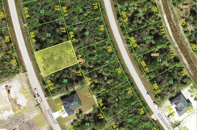 Discover the relaxed coastal lifestyle in South Gulf Cove, one - photo 3