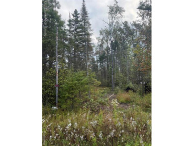 Lake Acreage For Sale in Atlanta, Michigan