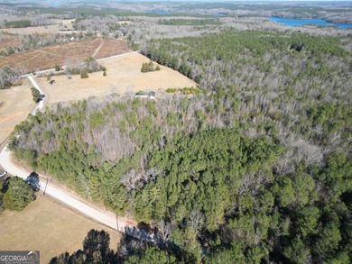 Your own slice of the Georgia outdoors on nearly 4 wooded acres - photo 11