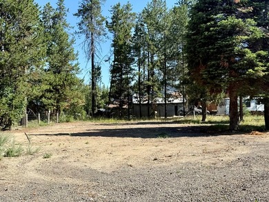 3 ADJECENT LOTS two blocks from CASCADE LAKE. Don't miss this - photo 5