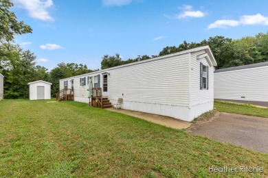 Lake Home For Sale in Shelbyville, Michigan