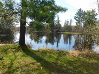 (private lake) Acreage For Sale in Marion Wisconsin