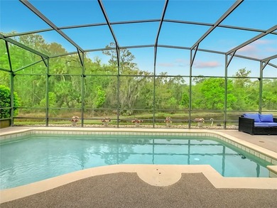 (private lake, pond, coastal) Home Sale Pending in Poinciana Florida