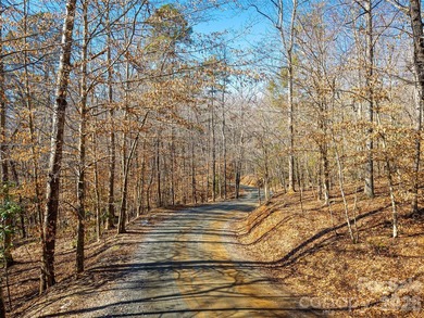 Discover the perfect blend of privacy, natural beauty, and - photo 11