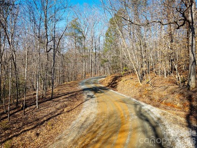 Discover the perfect blend of privacy, natural beauty, and - photo 12