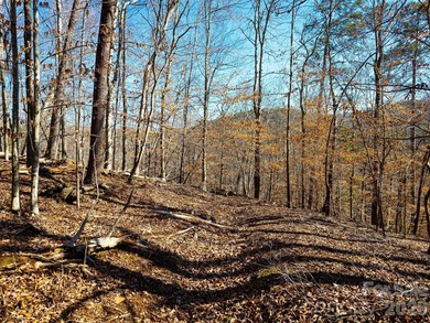 Discover the perfect blend of privacy, natural beauty, and - photo 13