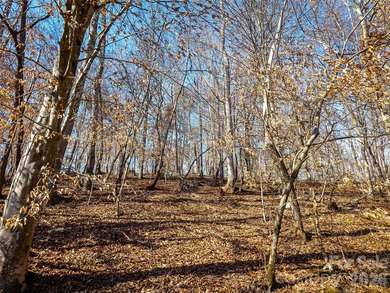Discover the perfect blend of privacy, natural beauty, and - photo 14