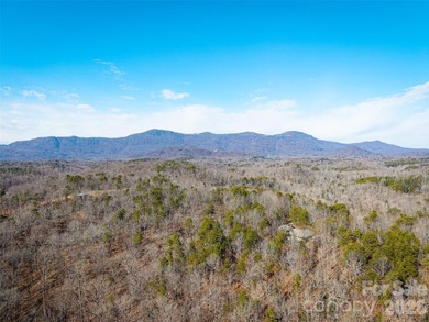 Discover the perfect blend of privacy, natural beauty, and - photo 17
