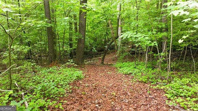 Welcome to your North Georgia getaway! Nestled in the peaceful - photo 23