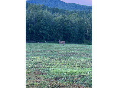 (private lake, pond, creek) Acreage For Sale in Webster New Hampshire